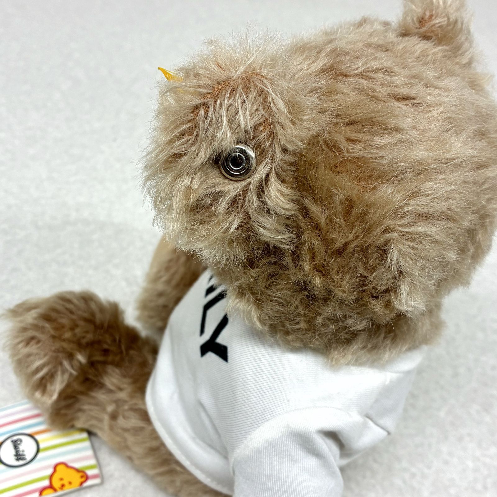 極美品】シュタイフ×RILY コラボ テディベア 今市隆二 巾着・タグ完備