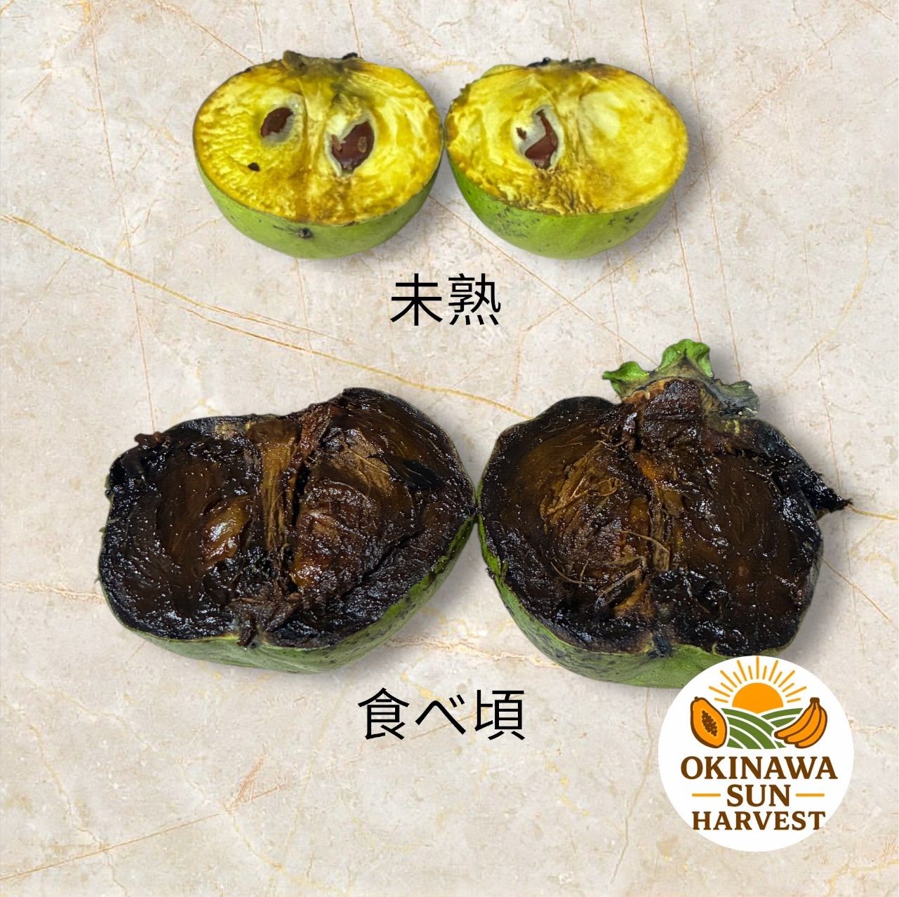 大玉 ブラックサポテ 沖縄産 4個1kg 【公式通販】