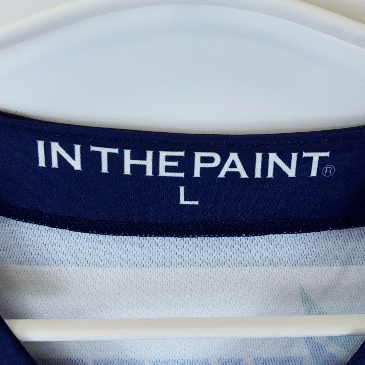 IN THE PAINT ファイティングイーグルス名古屋 オーセンティック