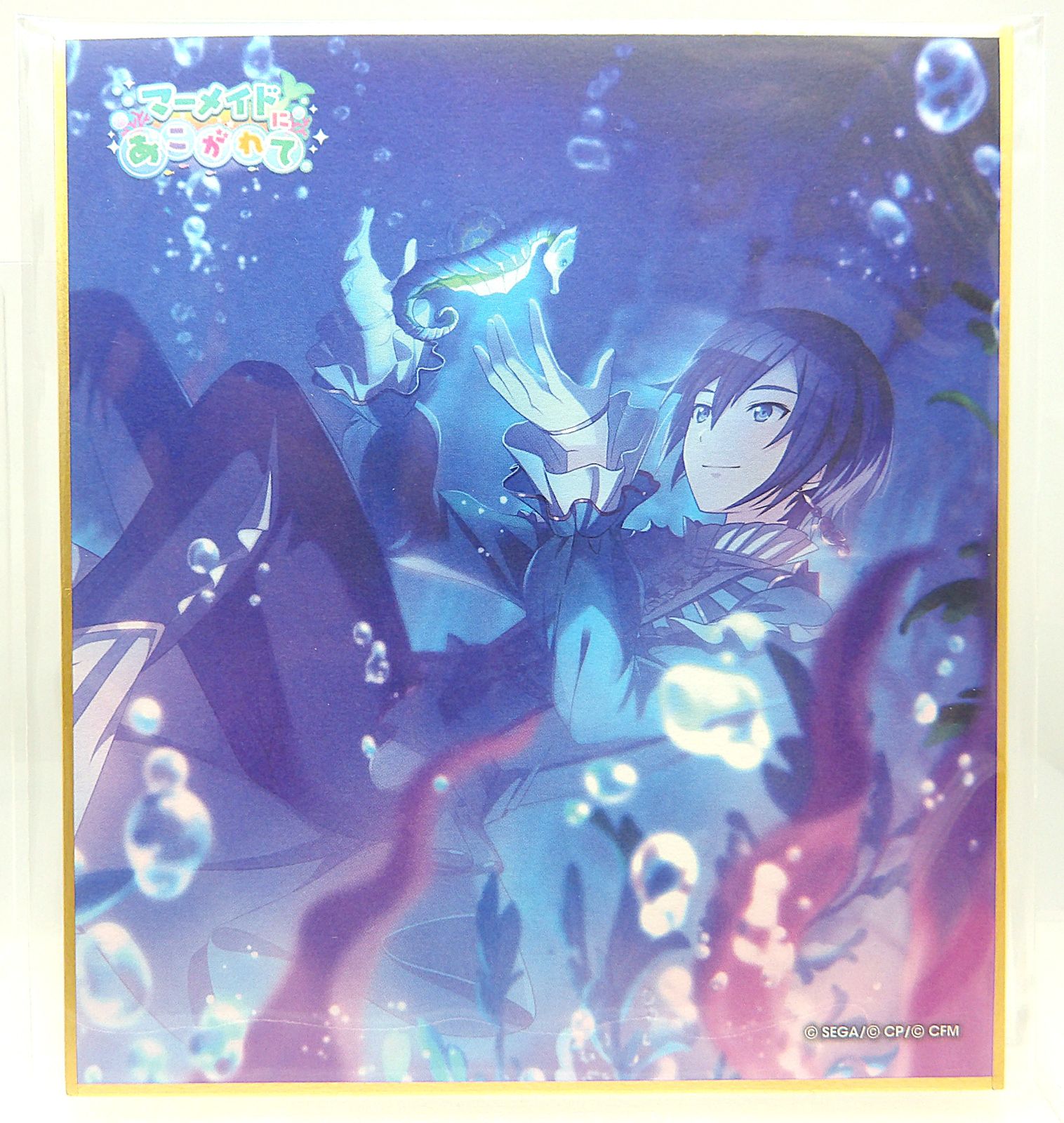中古】KAITO 座長の一日休暇 特訓後 プロセカ ミニ色紙コレクション 第
