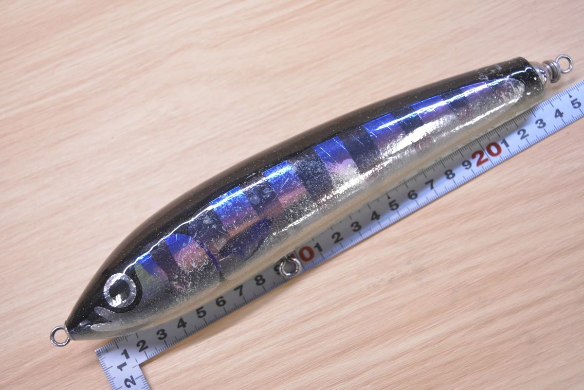 カーペンター ブルーフィッシュ 160 Carpenter Blue Fish