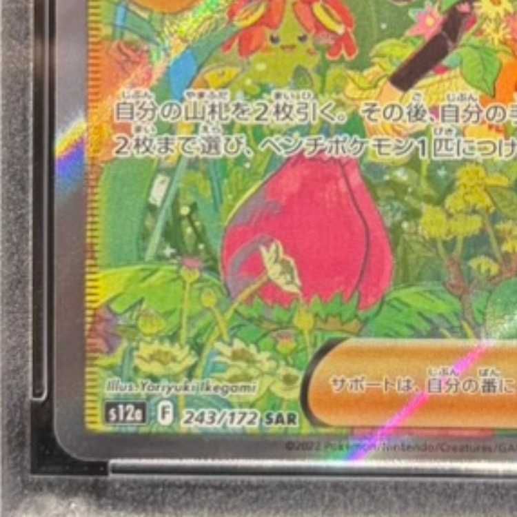 新作，お買い得 【PSA10】ナタネの活気 SAR 243/172 1枚