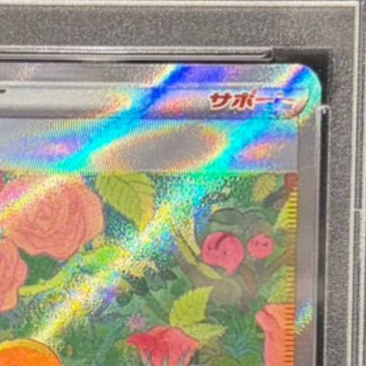 新作，お買い得 【PSA10】ナタネの活気 SAR 243/172 1枚