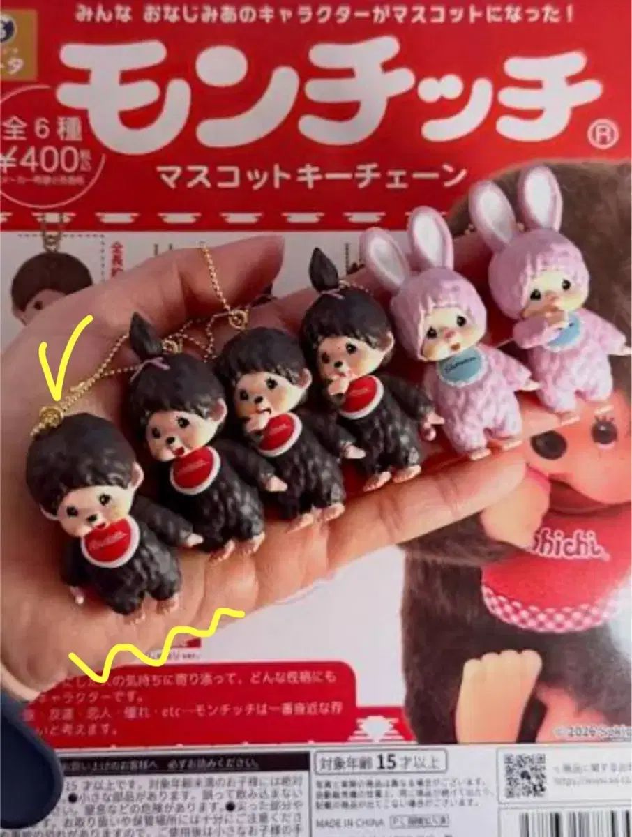 驚きの破格値，大人気】 【中古】ニンテンドースイッチソフト ミカと