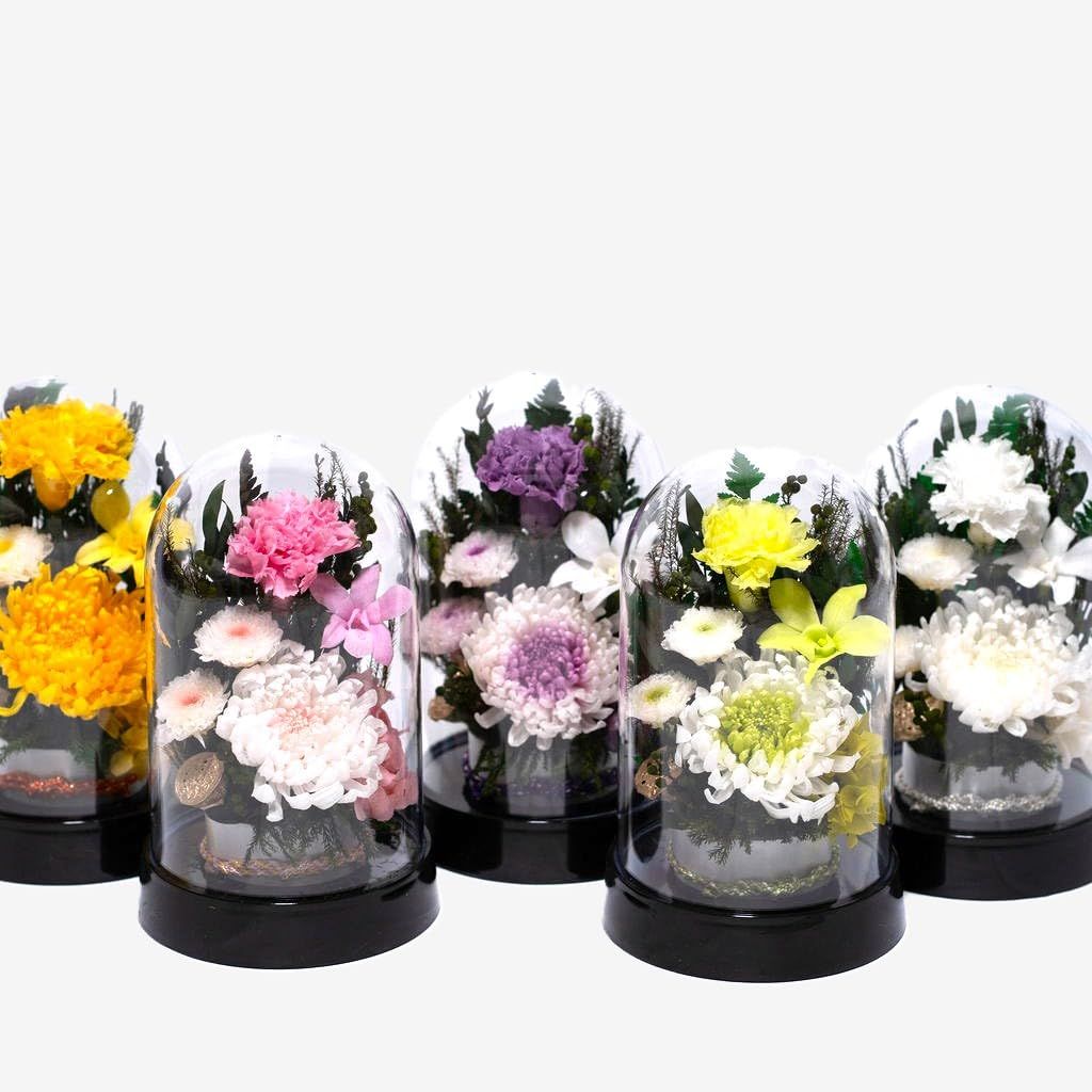新品 供花 御供 訃報 仏花 命日 お供え お悔み お仏壇 法要 プリザーブドフラワー仏花 枯れないお花 ドームケース入り (黒土台 白桃菊お供えドーム) 新品 供花 御供 訃報 仏花 命日 お供え お悔み お仏壇 法要 プリザーブドフラワー仏花 枯れないお花 ドームケース入り (黒土台 白桃菊お供えドーム)