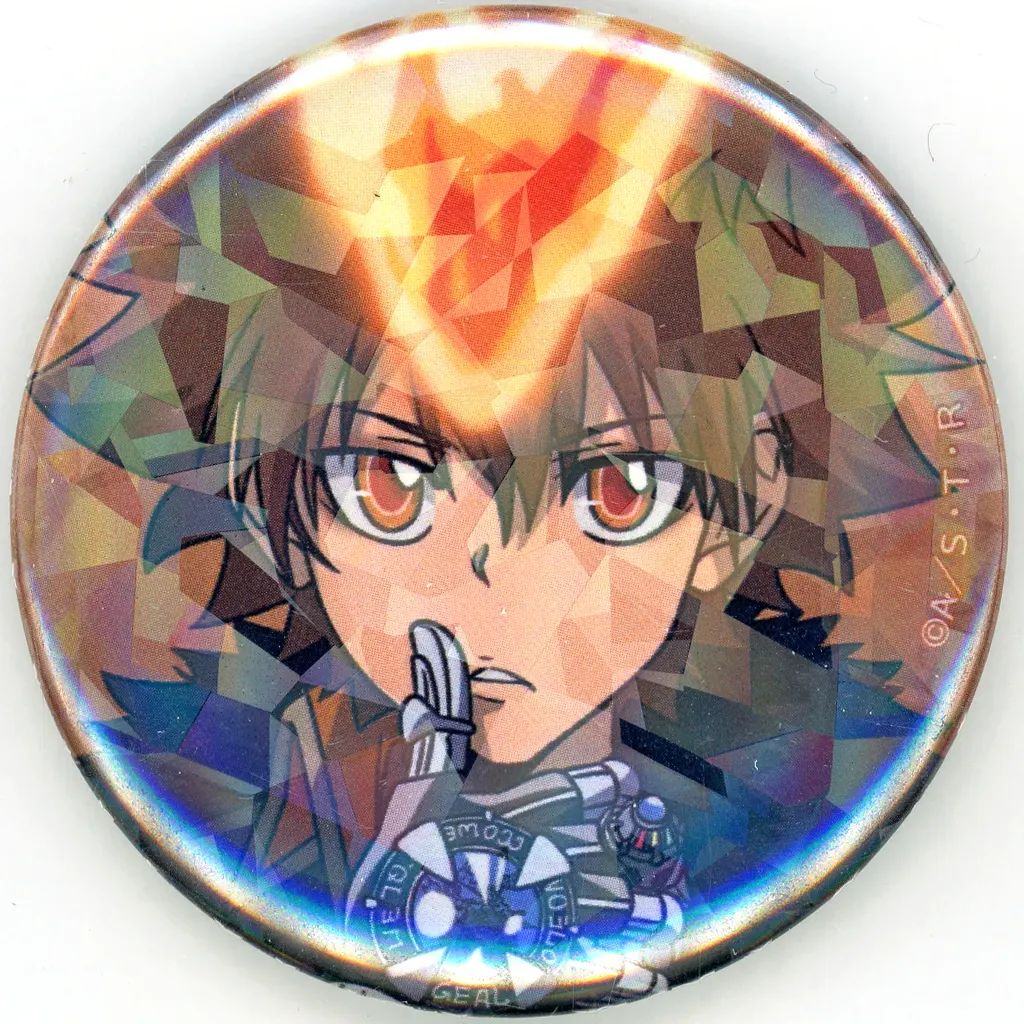 家庭教師ヒットマンREBORN! 56mmホログラム缶バッジ 沢田綱吉 新品