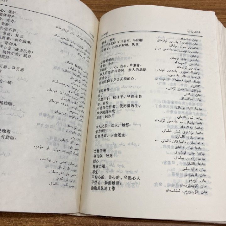 ▲01)【1点限り!】中国語・ウイグル語辞典/新彊大学出版社/1996年発行/中文書/辞書/言語学/A Yahoo!オークション ウイグル語・漢語の辞典：『維漢詞典』1982，新疆