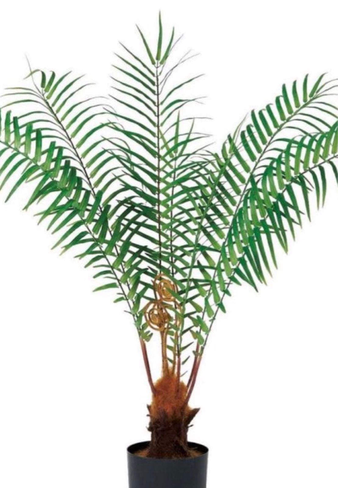 光触媒 人工観葉植物 ウォールグリーン フェイクグリーン フライト