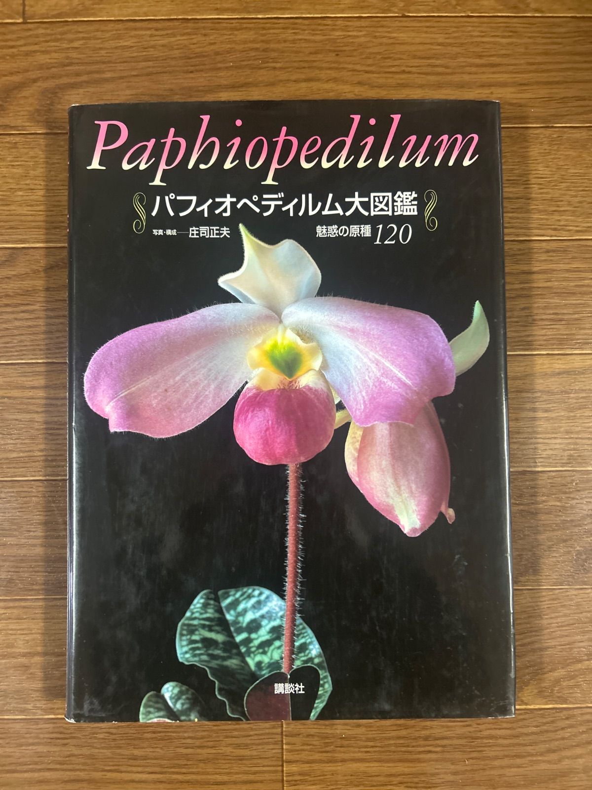 パフィオペディルム大図鑑 魅惑の原種120」 【公式通販】