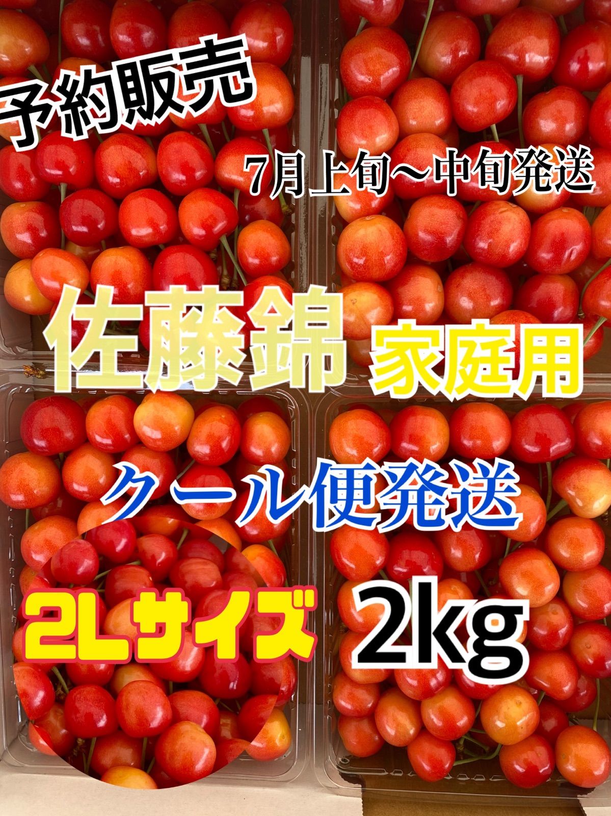 3 令和8年 予約販売　北海道産　さくらんぼ　佐藤錦2Lサイズ　約2キロ