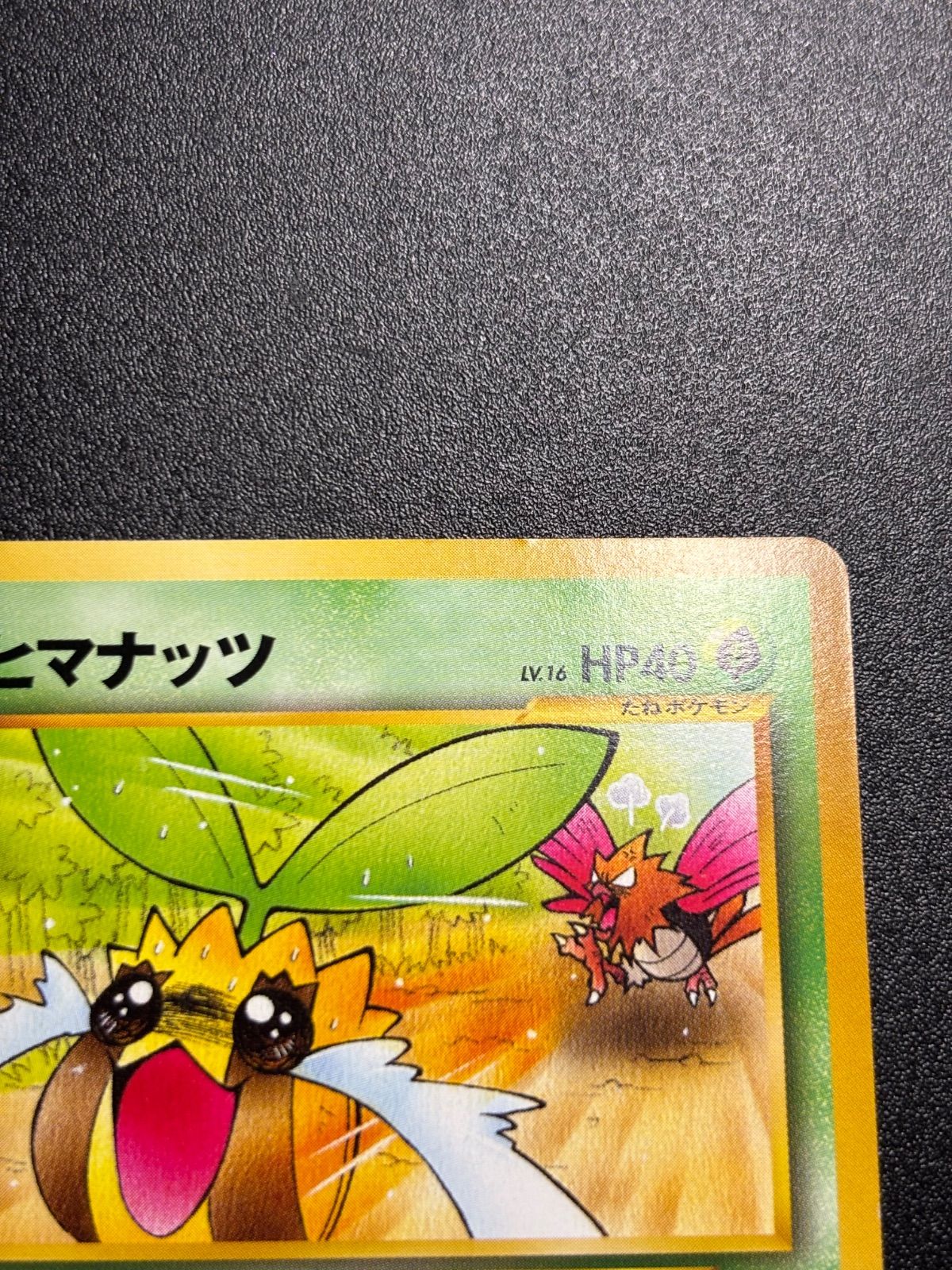 ヒマナッツ 旧裏 プロモ ポケモンカードになったワケ - メルカリ