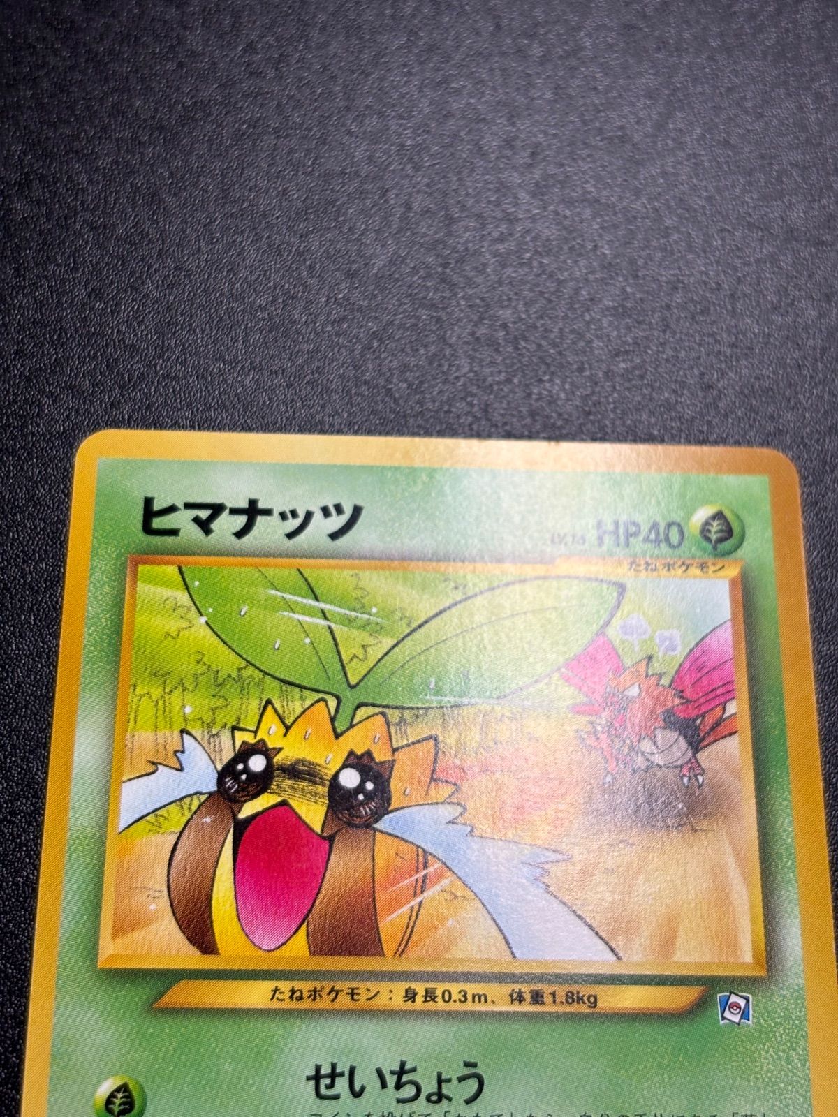 旧裏 ヒマナッツ プロモ ファイヤー 拡張シート 2枚セット 旧裏 ヒマナッツ プロモ ファイヤー 拡張シート 2枚セット 【公式通販】