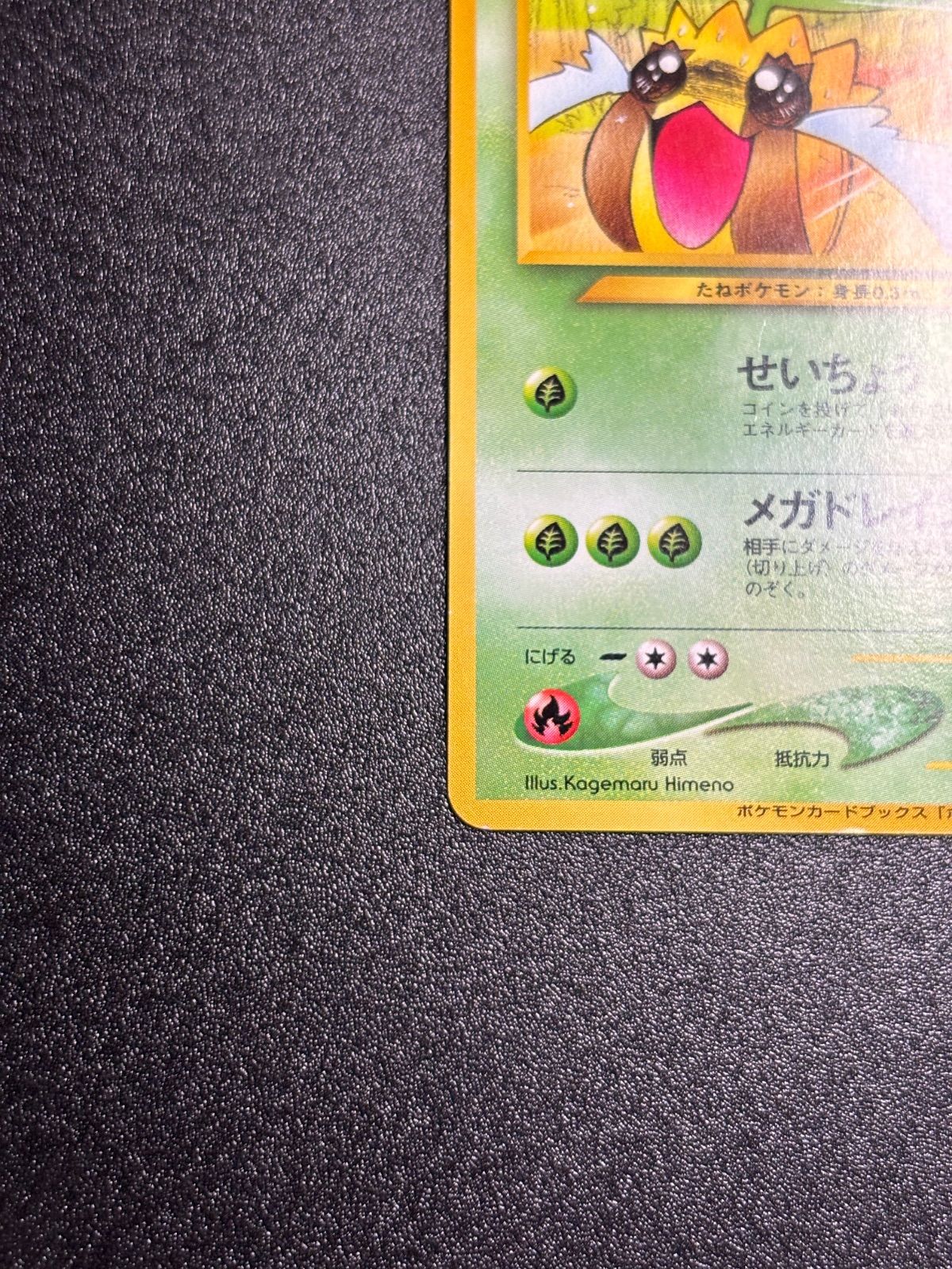 ヒマナッツ 旧裏 プロモ ポケモンカードになったワケ - メルカリ