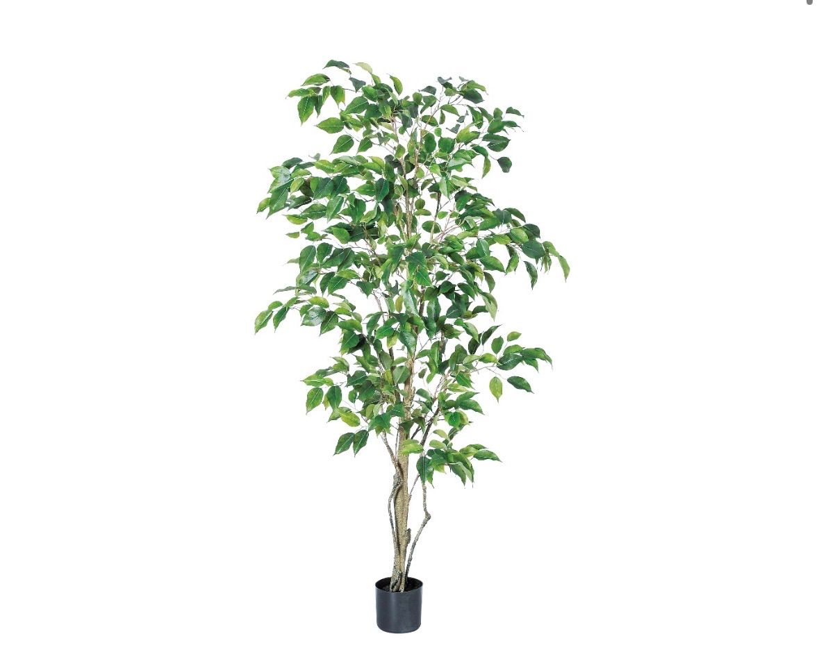 光触媒 人工観葉植物 ウォールグリーン フェイクグリーン フィカス 
