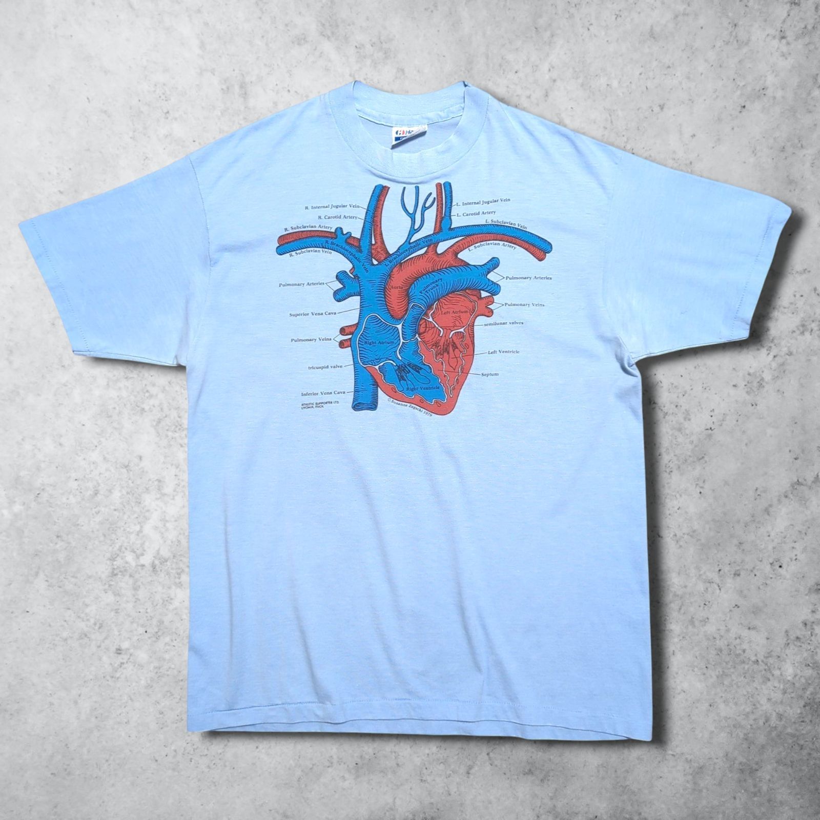 Vintage 80~90's Test answer T-shirt 人体模型 人体解剖 ビンテージ解剖 内蔵 tシャツ デッドストック 90s Hanes