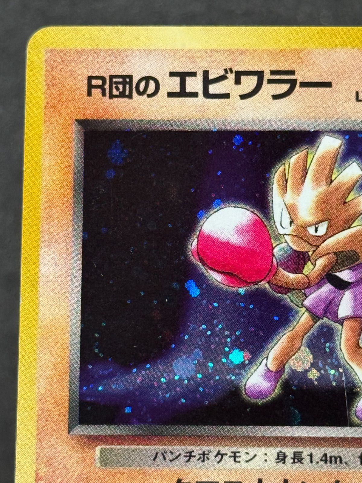 ポケモンカード　R団のエビワラー ex　整理番号、ps-109 ポケモンカード R団のエビワラー ex 整理番号、ps-109 【公式通販】