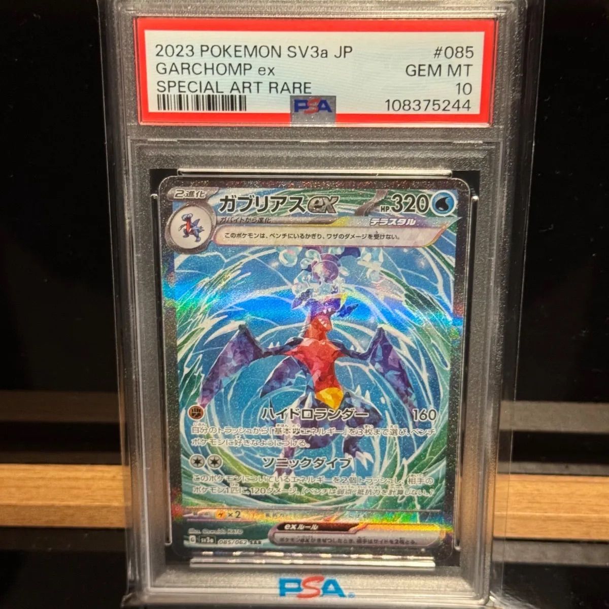ガブリアスex SAR PSA10 | CTEGE.INFO