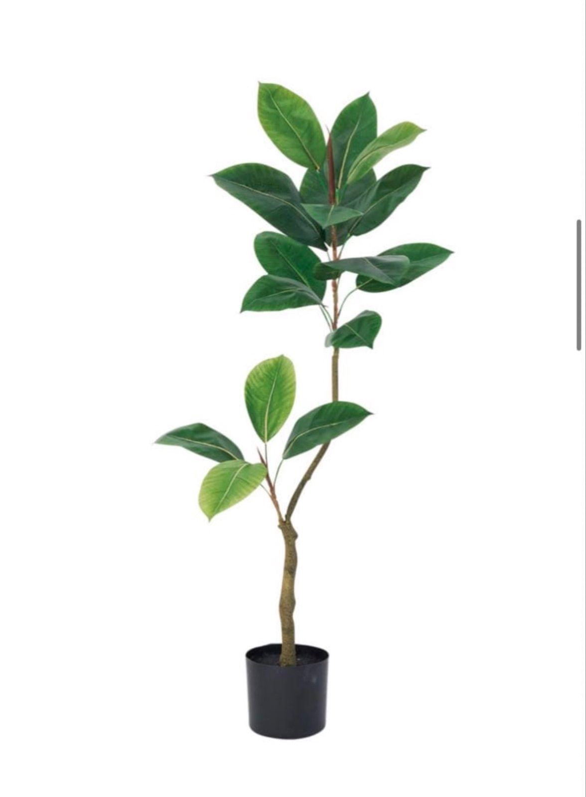 光触媒 人工観葉植物 ウォールグリーン フェイクグリーン ゴムの木9150 