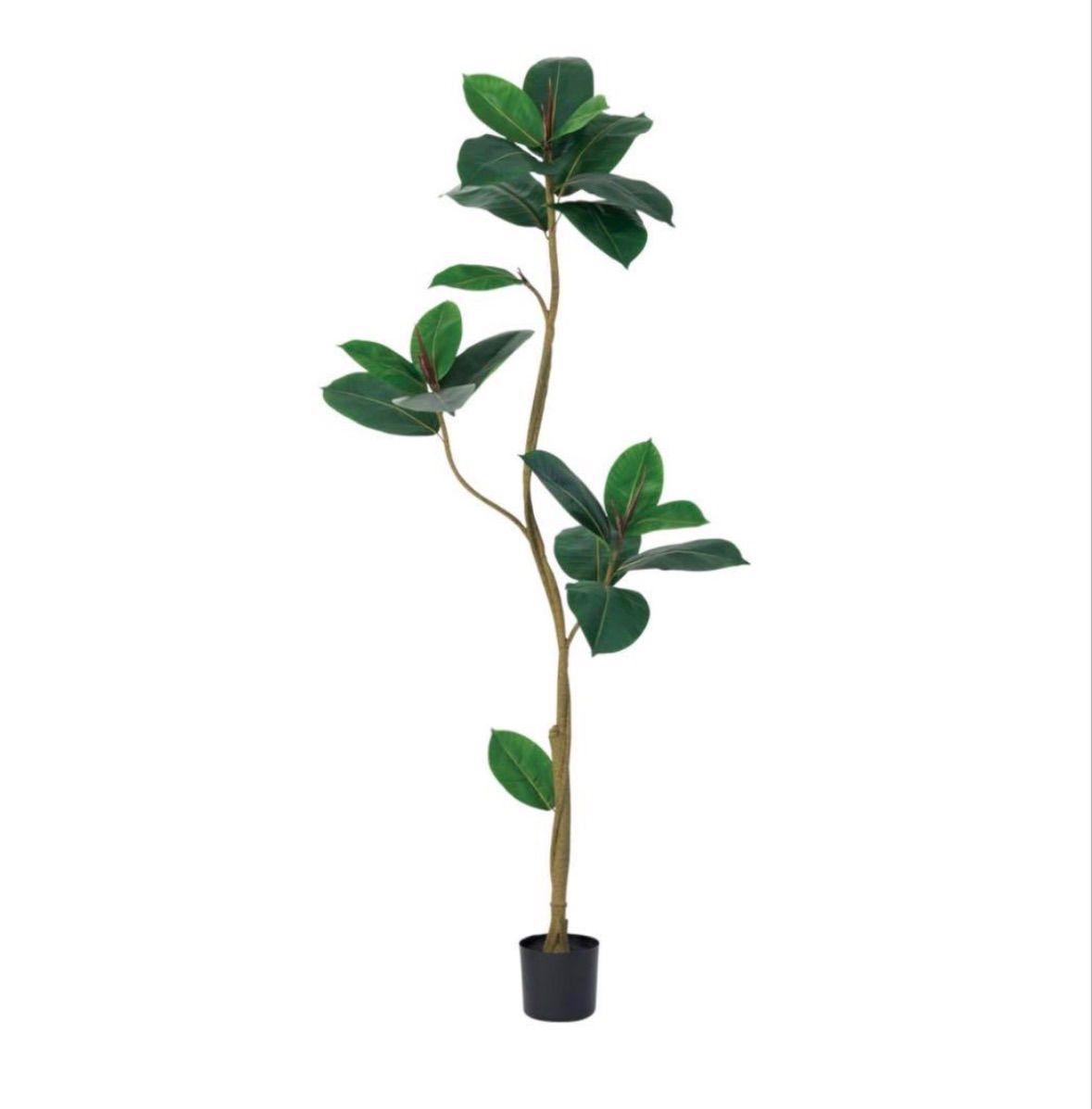 光触媒 人工観葉植物 ウォールグリーン フェイクグリーン ゴムの木