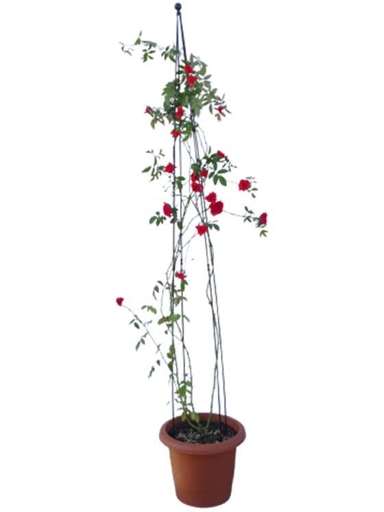 新品 植物支柱 園芸支柱 トレリス オベリスク アイアン 日本製 国産 園芸 バラ 誘引 高さ200cm 小林金物