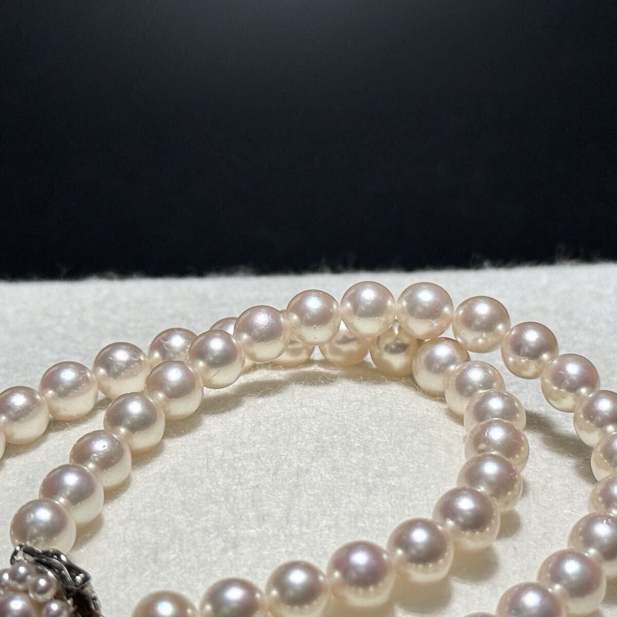 TASAKI】あこや真珠 ベビーパールネックレス 5.0mm ホワイト 無調色 