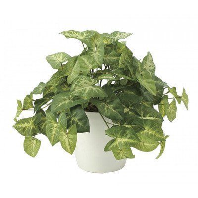 新品 光触媒 人工観葉植物 光の楽園 フレッシュカラ-ジュ-ム 643A50