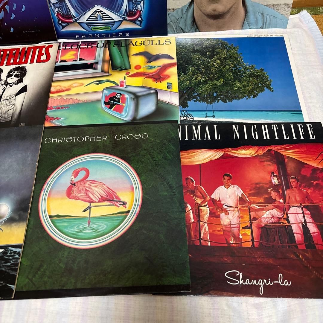 80年代 ロック名盤レコードまとめ売り12枚 LP アナログレコード - メルカリ