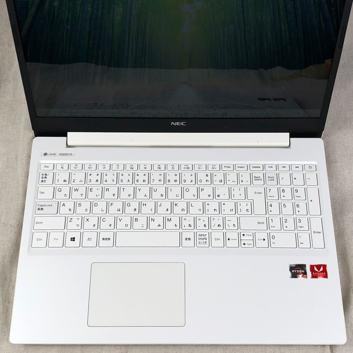 大好評 ジャンク品 NEC ノートPC NS600/MAR 【公式通販】