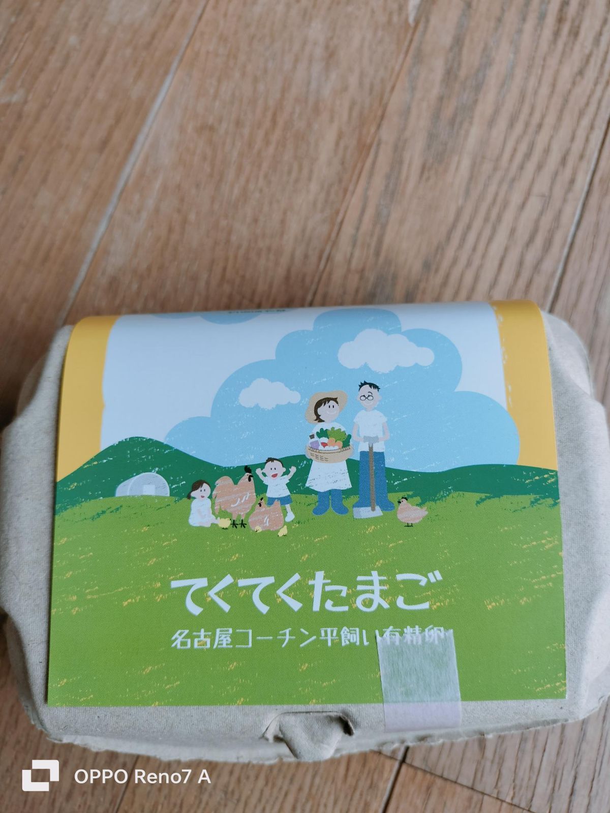 平飼い名古屋コーチン有精卵48個 保証4個含む 8ccaa25572cedeefd3304bcdd560ea