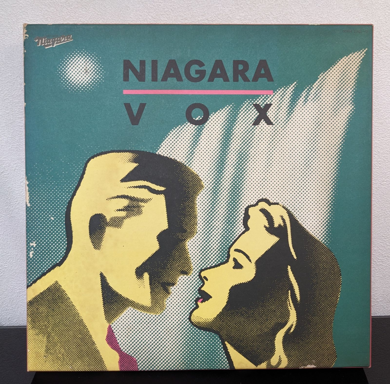 NIAGARA VOX◇ ナイアガラボックス 大瀧詠一 LPレコード9枚+本1冊