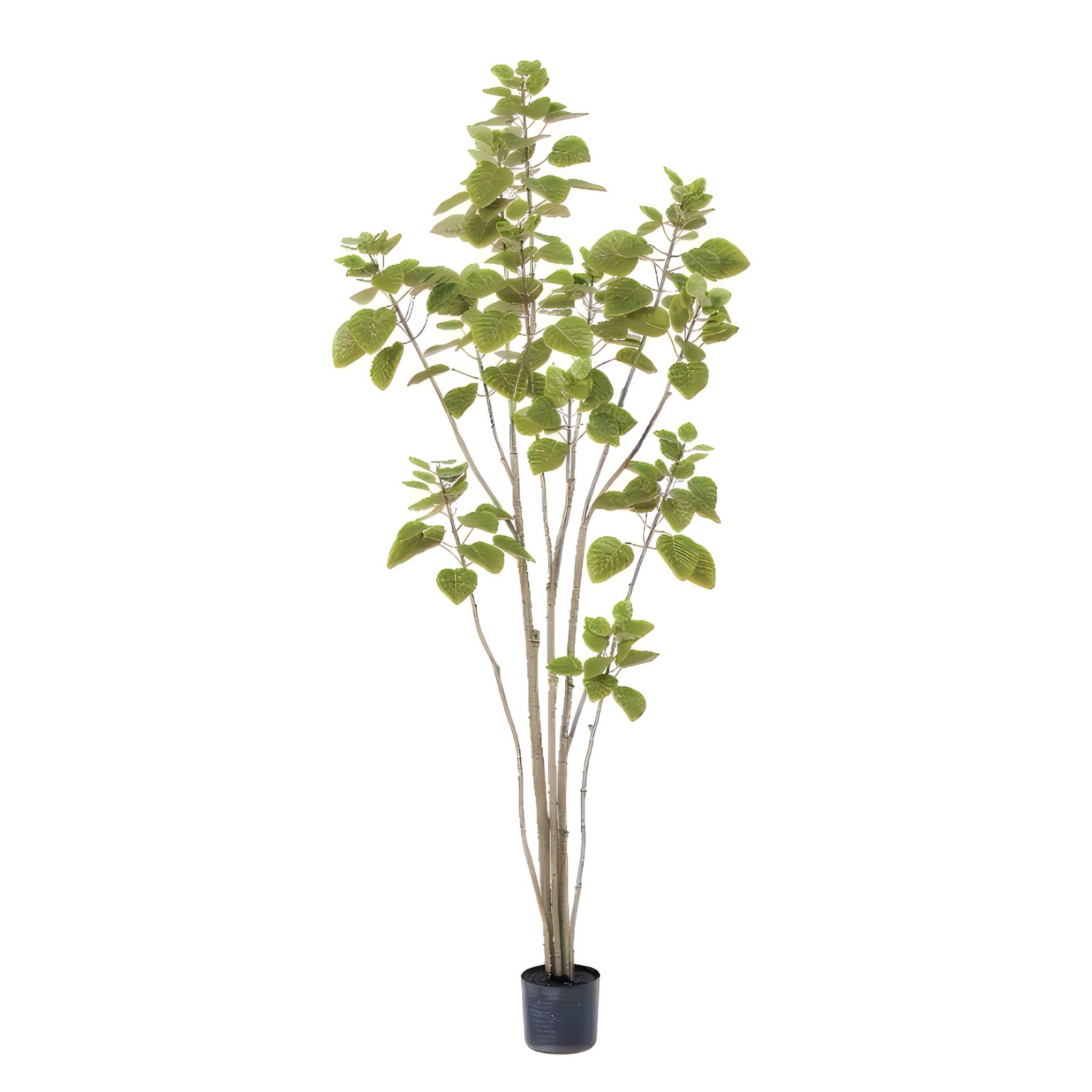 光触媒 観葉植物 ウォールグリーン フェイクグリーン スモークツリー