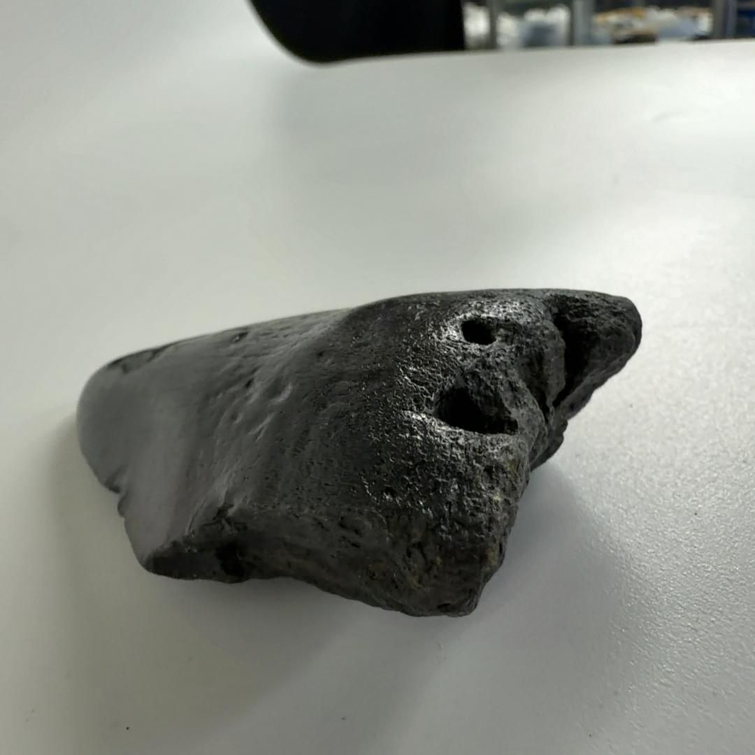  E34032 巨大サメ メガロドン 歯の化石 ムカシオオホオシロサメ メガロドンの歯 化石 卓上装飾 置物 インテリア小物