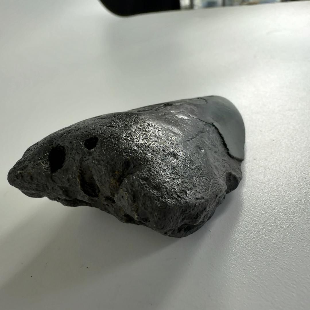 巨大サメ メガロドン