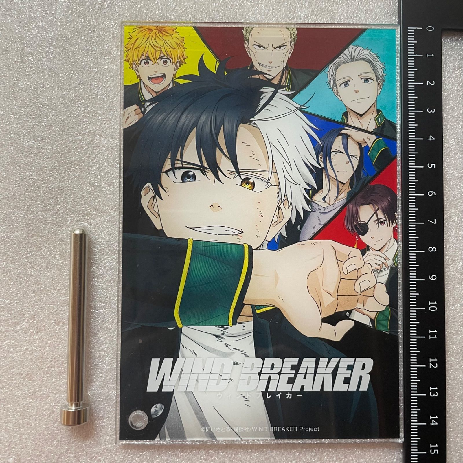 WIND BREAKER 桜遥 梅宮一 柊登馬 杉下京太郎 蘇枋隼飛 楡井秋彦 