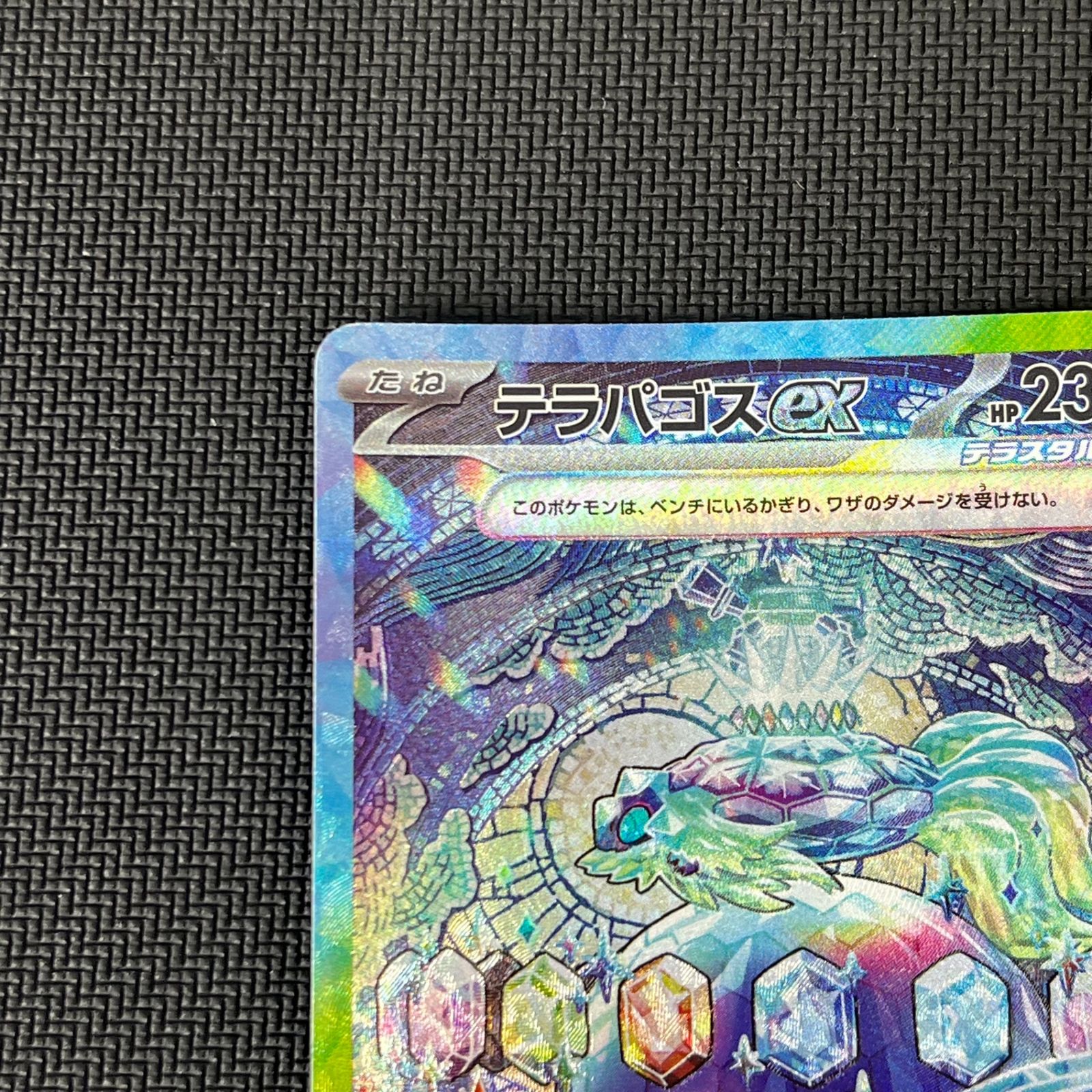 ポケカ テラパゴスex SAR 130/102/SV7/B ステラミラクル - メルカリ