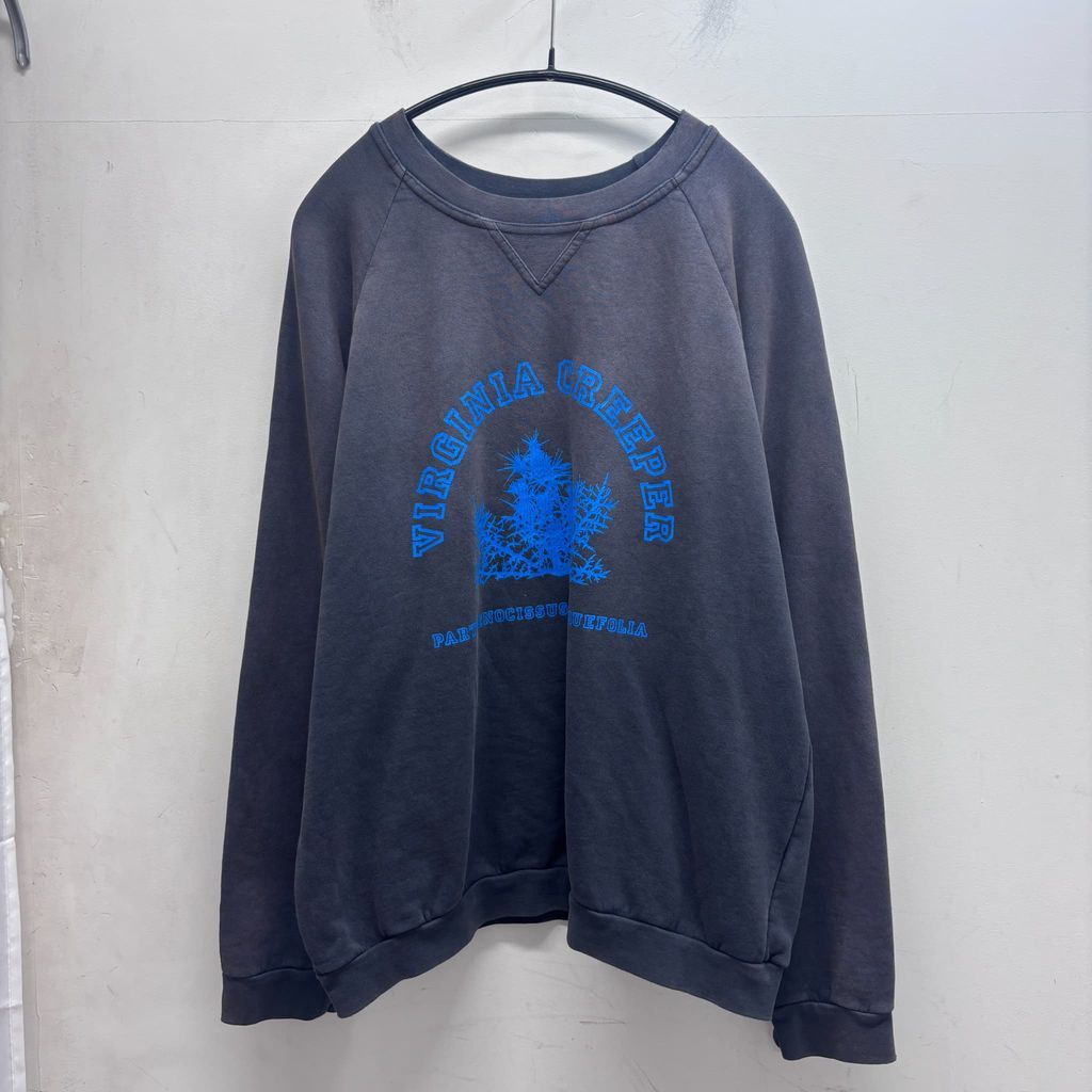 02AW ラフシモンズ 初期 スウェット 48 Virginia Creeper RAF SIMONS ラフシモンズ 02AW Virginia Creeper Sweatshirt