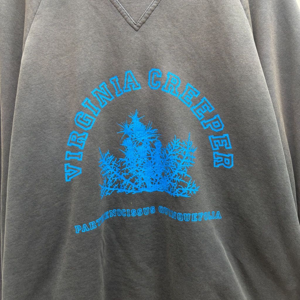 RAF SIMONS ラフシモンズ 02AW Virginia Creeper Sweatshirt