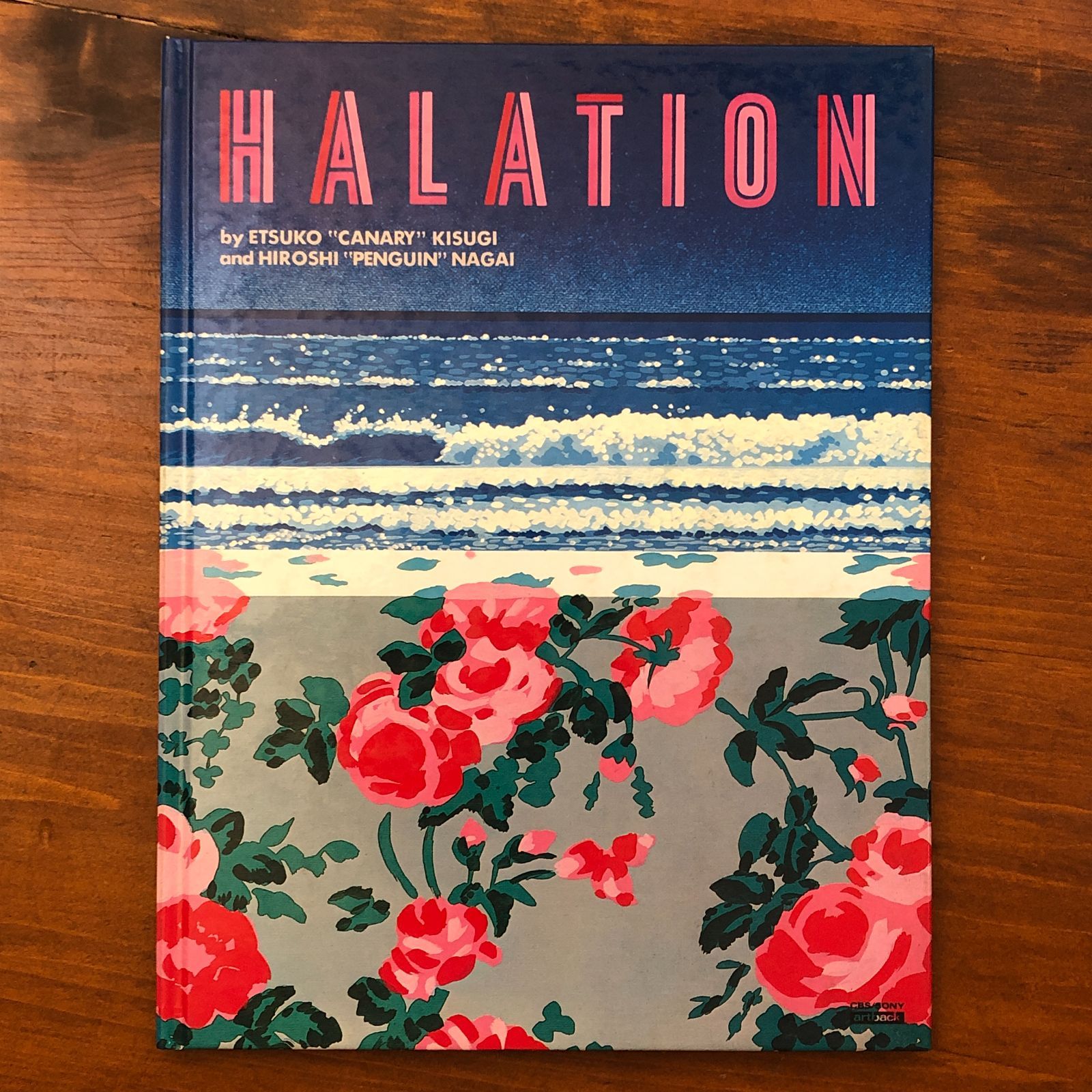 永井博 ハレイション HALATION 来生えつこ 作品集 1981【XA08】