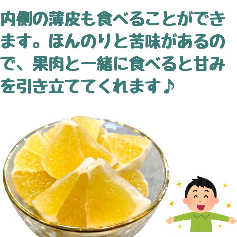 熊本産 河内晩柑 約10kg 訳ありMサイズ クール便 - メルカリ