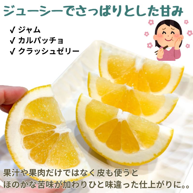 熊本産 河内晩柑 約10kg 訳ありMサイズ クール便 - メルカリ