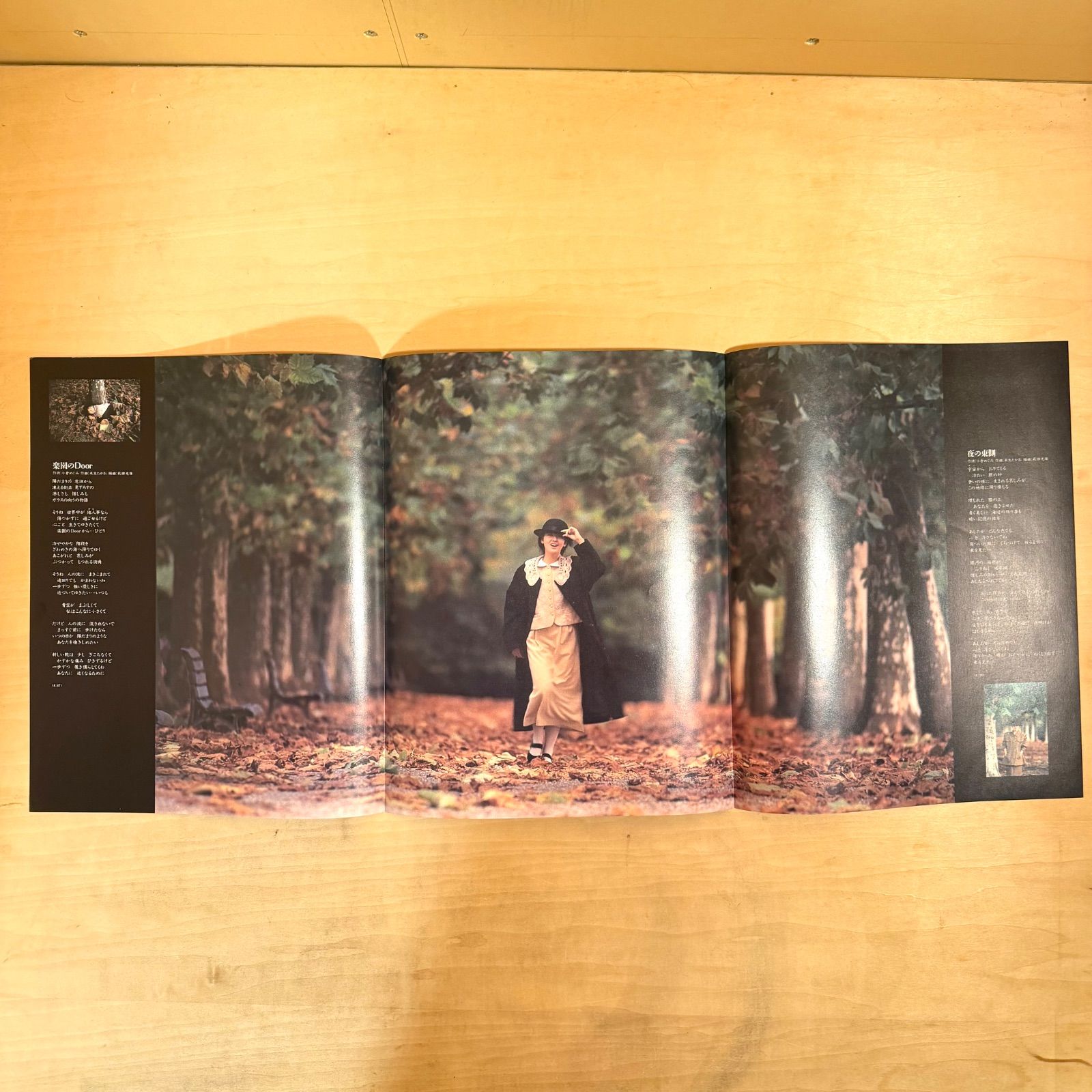 試聴確認済】南野陽子「楽園のDoor」シングルレコード ☆中古レコード