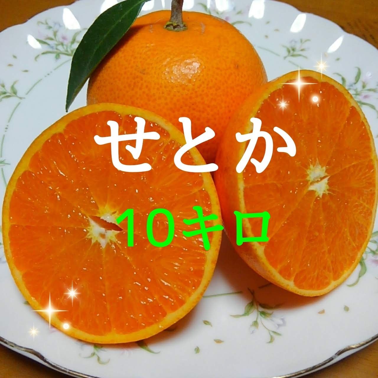 ✨高級柑橘 ☆せとか☆ 10キロ(箱込み) 瀬戸内から産地直送 【公式通販】