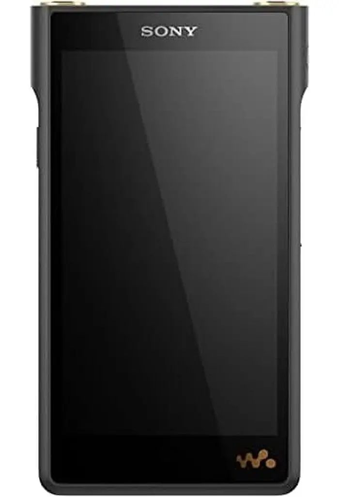 【中古】ポータブルオーディオ ウォークマンWM1シリーズ (メモリータイプ) 128GB [NW-WM1AM2]