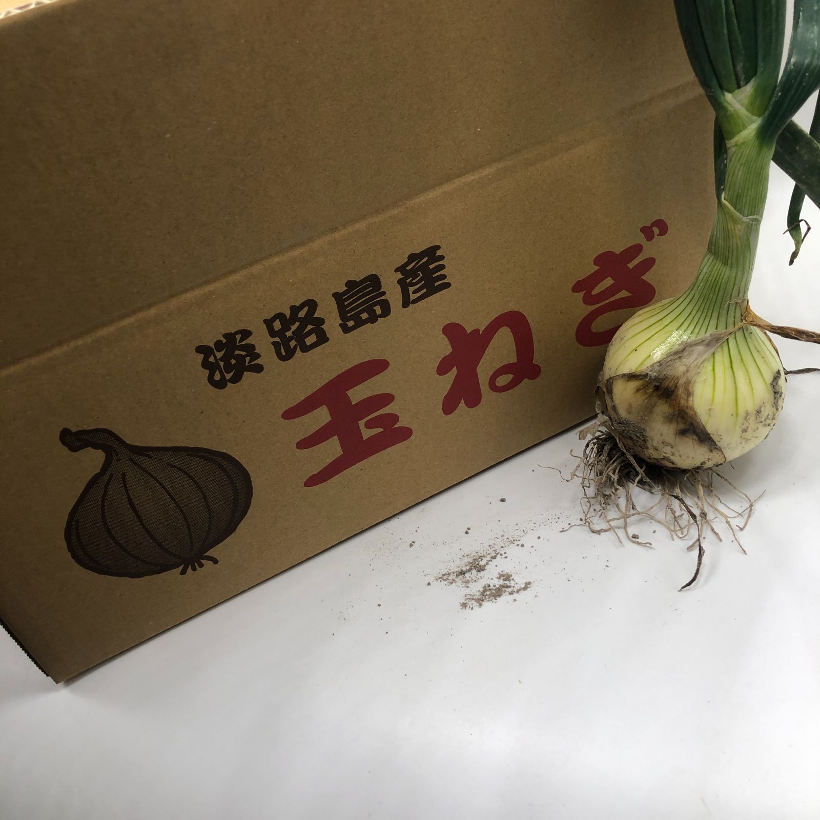 淡路島産 新玉ねぎ 20kg 農家直送 甘い - メルカリ