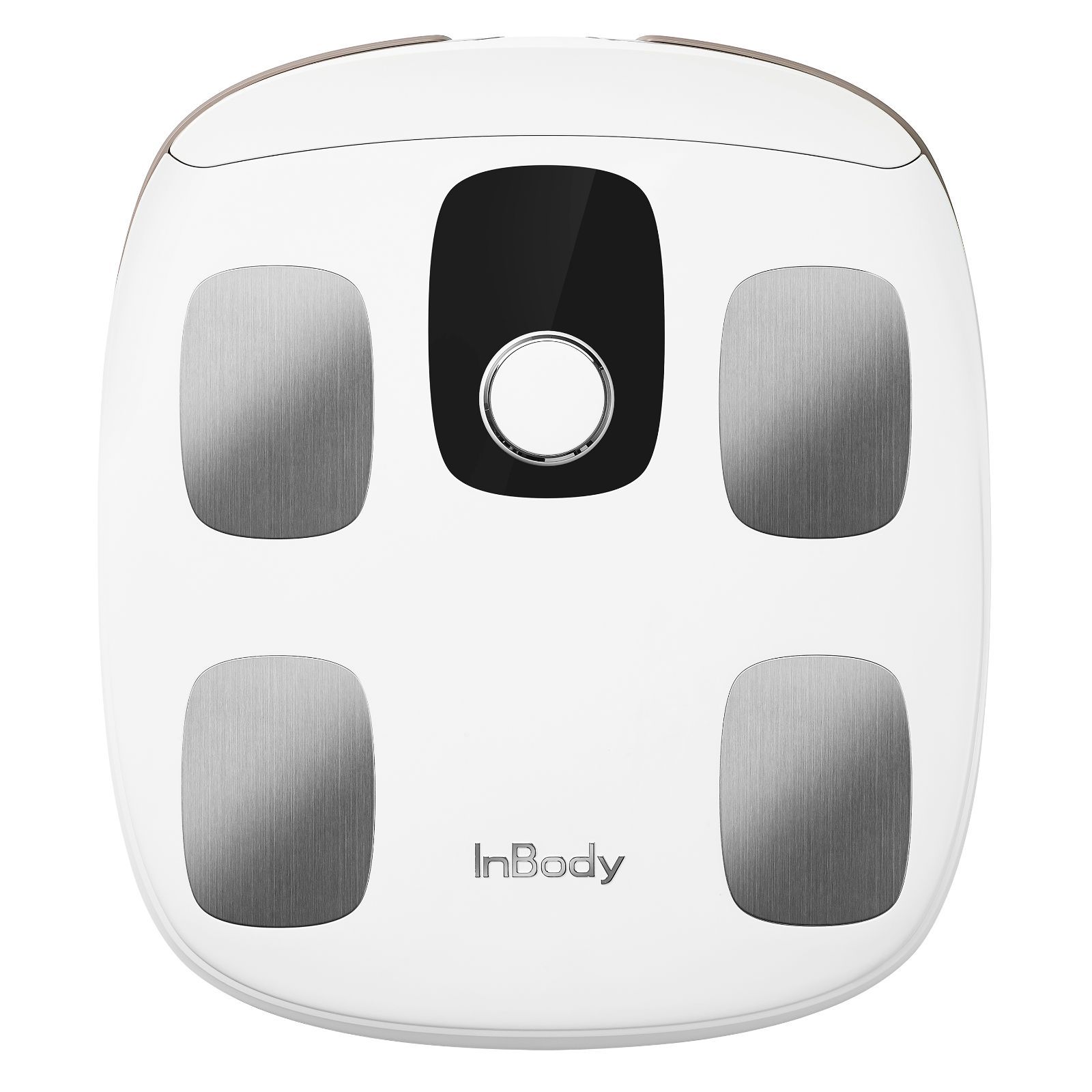 156 インボディ 体組成計 InBody Dial H20ホワイト 【アウトレット品