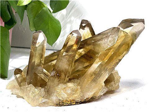 1310g AAA級天然シトリンクラスターYT10D6|479D12A