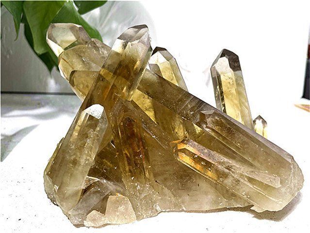 AAA級天然シトリンクラスターYT10D6|479D12A