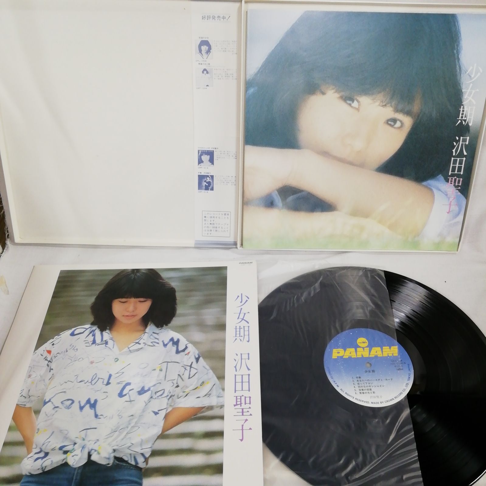 沢田聖子(さわだ しょうこ) 「少女期」 20ページ豪華カラー写真集付 帯