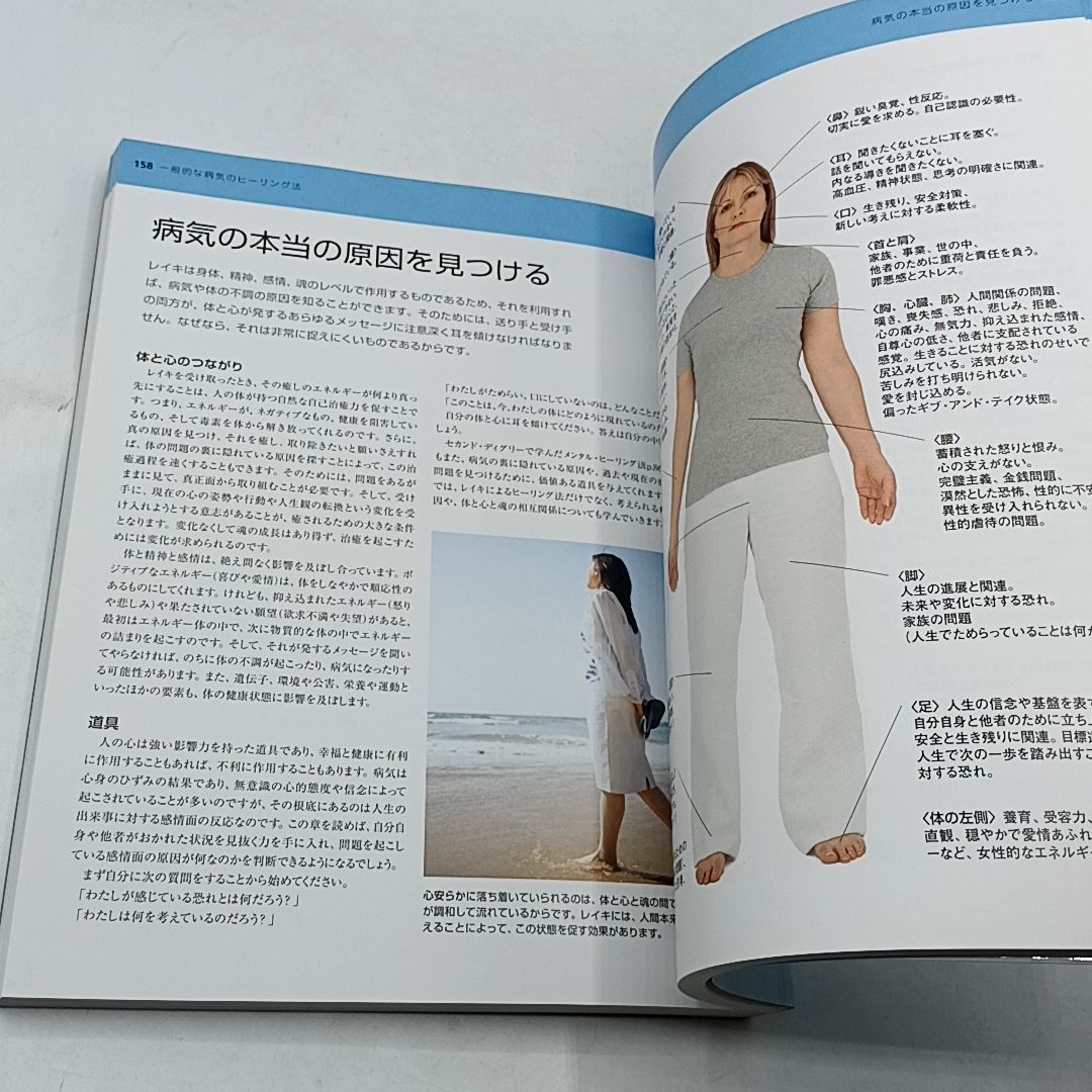 プロフェッショナルレイキ : エキスパートの技を習得するための完全