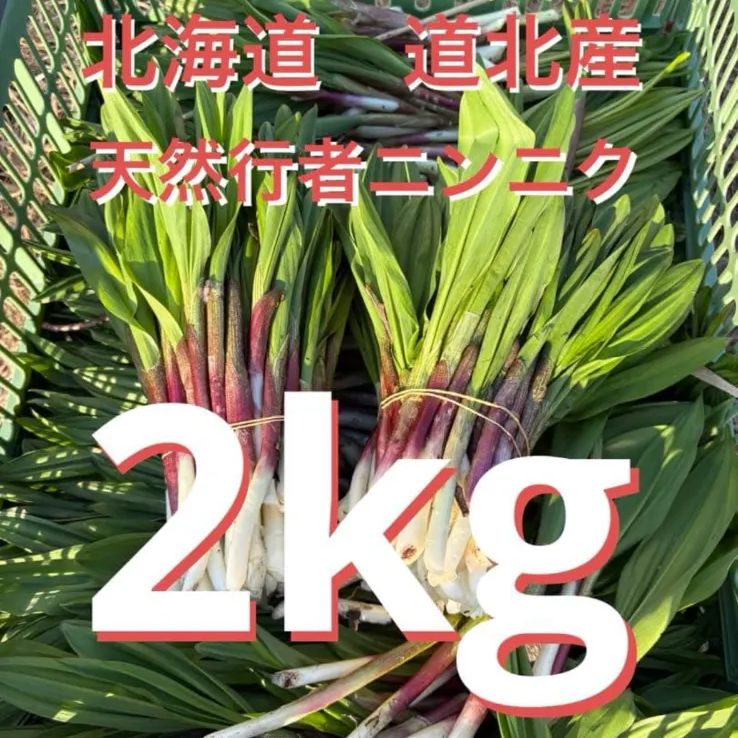 北海道産天然行者ニンニク。2000g Amazon | 北海道中標津町産 行者にんにく（約1か月分、30粒入り